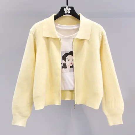 polo领设计感针织开衫女春秋2023年新款时尚修身短款长袖毛衣外套图片