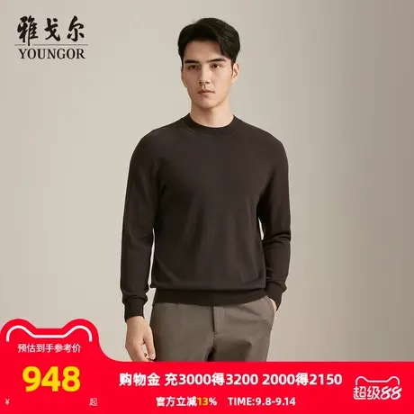 【商场同款】雅戈尔男士毛衫秋冬新款官方商务休闲套头毛衫男商品大图