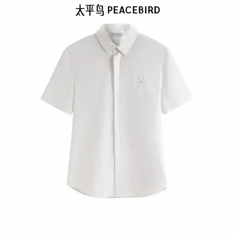 太平鸟男装季新款刺绣修身休闲衬衫 B1CCE24图片