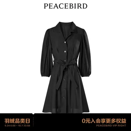 【商场同款】太平鸟女装2023年秋季新款衬衫式连衣裙A1FAD3218图片