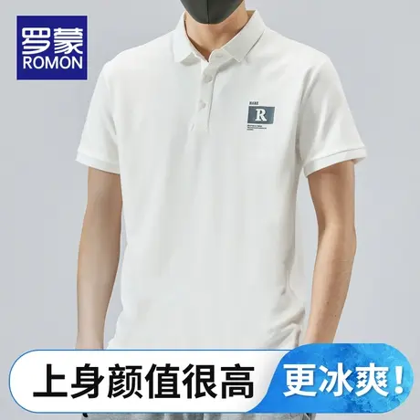 罗蒙2023夏季新款短袖T恤男士翻领POLO衫百搭半袖韩版潮流上衣服图片