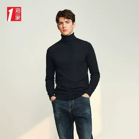 海一家基础休闲打底衫2023秋季新款高领日常舒适长袖针织衫男商品大图