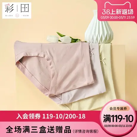 彩田女士新款棉莫混纺提花蝴蝶结大弹力柔软透气抗菌底裆三角内裤商品大图