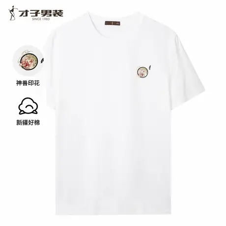 【四象神兽】才子国潮圆领短袖T恤男2025夏季新款透气中国风上衣图片
