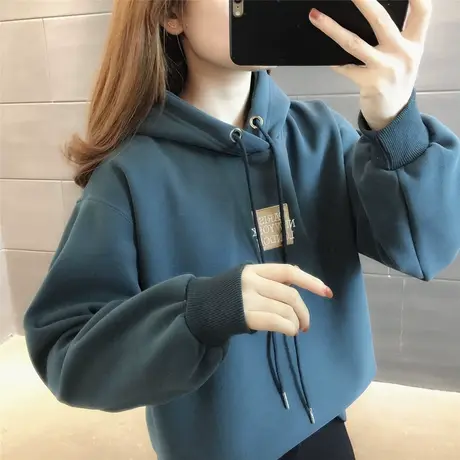 2023年秋冬新款韩版宽松女装上衣ins潮外套长袖减龄加厚加绒卫衣商品大图