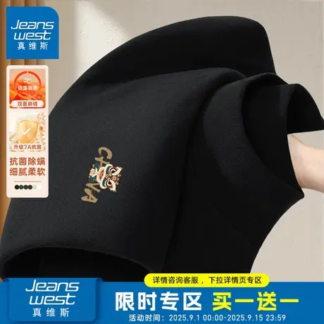 @GV真维斯双面绒德长袖打底衫男2025秋抗菌t恤男生国潮高领内搭D商品大图