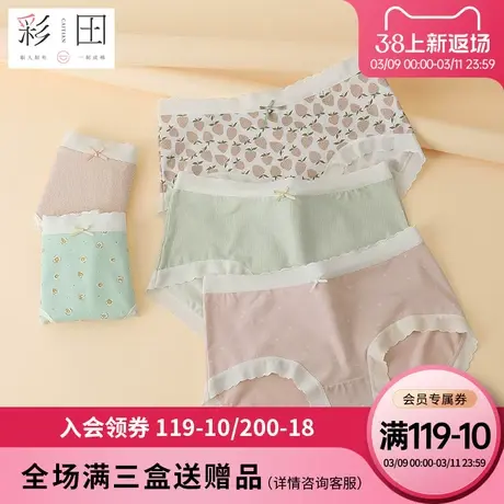 彩田内裤女新款夏季棉莫混纺印花蝴蝶结舒适抗菌底裆女士三角内裤商品大图