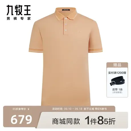 [商场同款]九牧王男装JT2C25017短袖T恤23春夏新款时尚Polo衫男EN图片