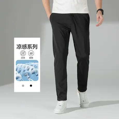 雪中飞裤子男款春秋新款休闲裤冰丝弹力有型舒适轻薄透气直筒长裤图片