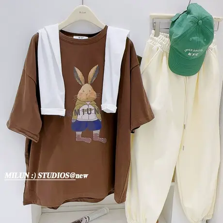 2023春夏款ins兔子上衣韩国东大门高级感磨毛半袖T恤宽松欧货大码商品大图