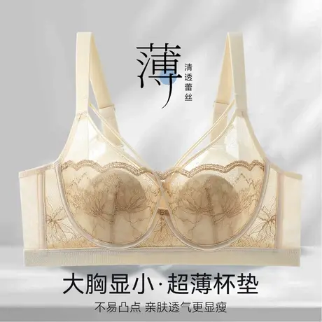 【兔耳朵法式蕾丝】纯欲性感内衣聚拢显瘦薄收副乳大胸显小文胸女商品大图