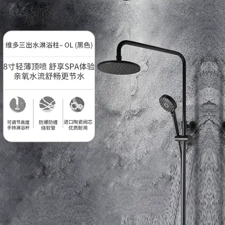 科勒亲氧淋浴淋雨黑色花洒淋浴花洒套装家用浴室卫浴喷头28655商品大图