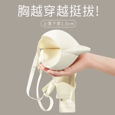 内衣女小胸聚拢提拉上托显大秋冬季文胸2024新款收副乳防下垂胸罩商品大图