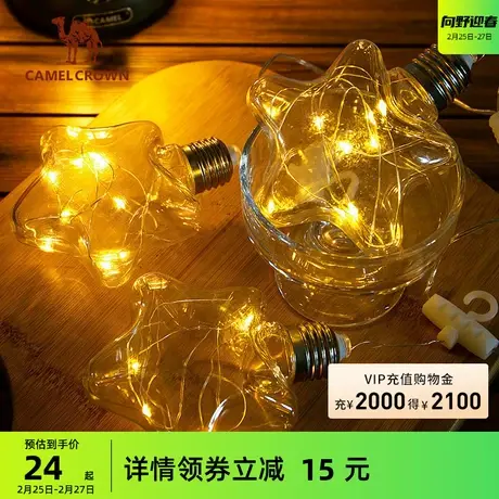 骆驼户外精致露营帐篷氛围灯野营装饰用品长续航天幕照明LED灯商品大图