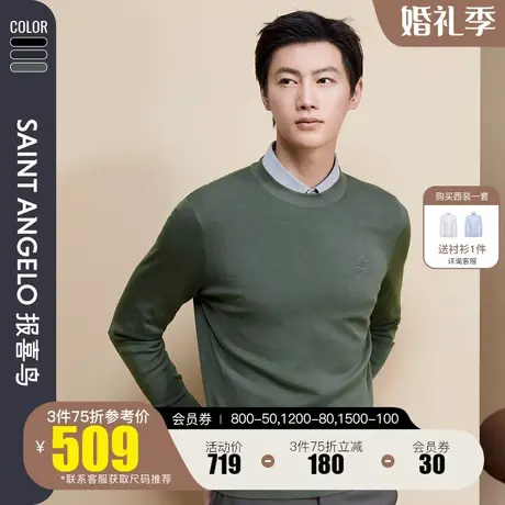 报喜鸟2023秋季新款男时尚休闲毛衣直筒亲肤羊毛针织衫套头羊毛衫图片