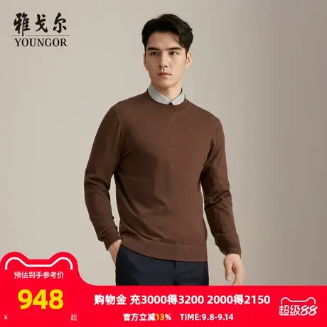 【商场同款】雅戈尔男士毛衫秋冬新款官方商务休闲套头毛衫男商品大图