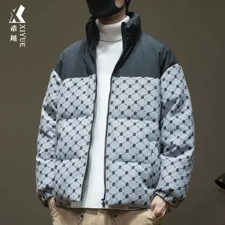 希越新国标加厚羽绒服男冬季复古绣花白鸭绒立领棉服外套宽松大码商品大图