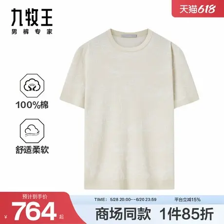 [商场同款]九牧王男装2025春夏新款纯棉柔软透气休闲男款短袖T恤商品大图