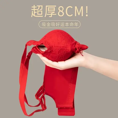 本命年秋冬内衣红色女结婚新娘小胸聚拢显大漫画胸加厚5cm文胸罩商品大图