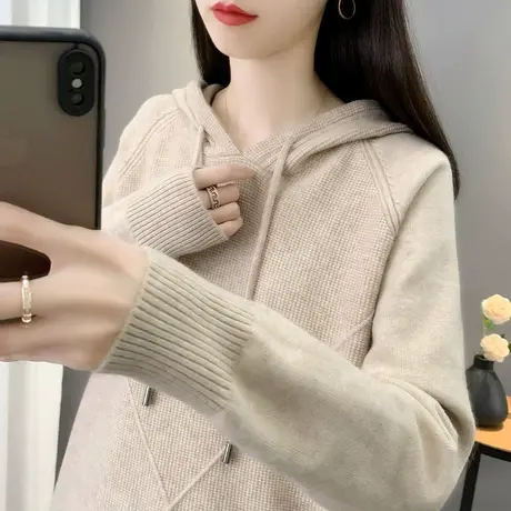 连帽套头毛衣女2023秋冬新款纯色针织卫衣洋气外穿百搭打底上衣女商品大图
