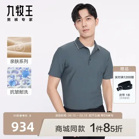 [商场同款]九牧王男装JT2C23717短袖T恤23年春夏季新款亲肤上衣EN图片