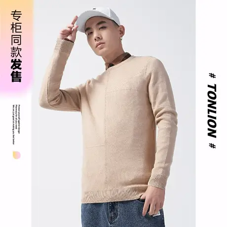 [商场同款]唐狮冬季新款毛衣男圆领净色线衫休闲百搭舒适上衣图片