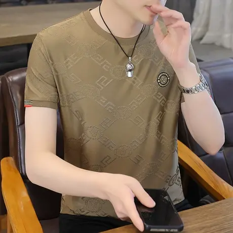 2024新款男士冰丝短袖T恤混搭风加肥加大码男装半袖体恤衫上衣服商品大图