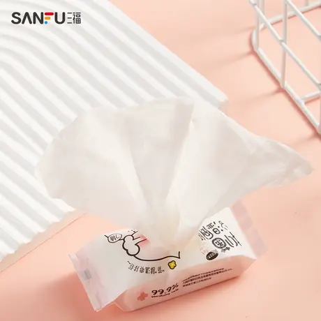 宜简宜然抑菌加大加厚湿厕纸8包 纸品清洁用品湿纸巾475490图片