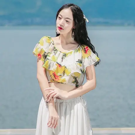 西子美丽心情大码超仙收腰显瘦圆领短款短袖雪纺洋气小衫女上衣女图片