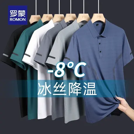 罗蒙男士冰丝短袖Polo衫夏季款中年爸爸装带翻领T恤网眼速干衣服商品大图