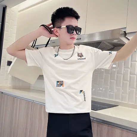 男士刺绣T恤夏季短袖潮牌半截袖小众2023新款男装上衣半袖帅t体恤商品大图