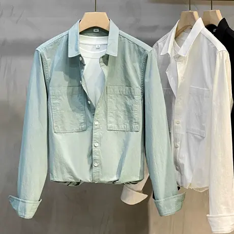 美式重磅长袖衬衫男秋季宽松高级感纯棉寸衫纯色白色翻领衬衣外套商品大图