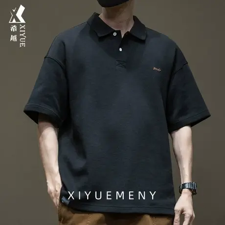 夏季薄款简约刺绣短袖T恤POLO衫男士2025新款宽松大码休闲保罗衫商品大图