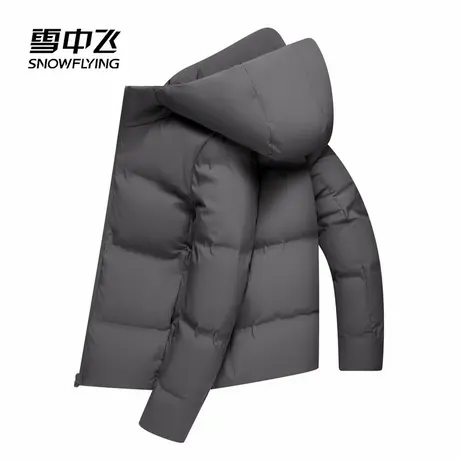 雪中飞2025秋新款男士商务休闲户外羽绒服保暖男直筒简约基础商品大图