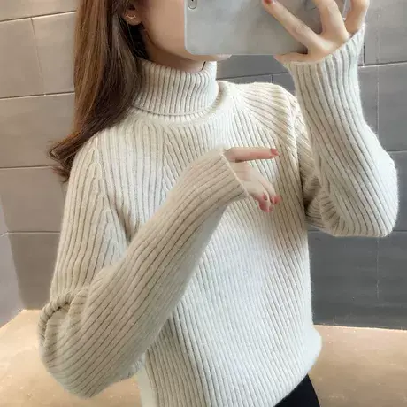 秋冬2025年新款女士高领毛衣女爆款加厚时尚洋气冬季打底衫ins潮商品大图