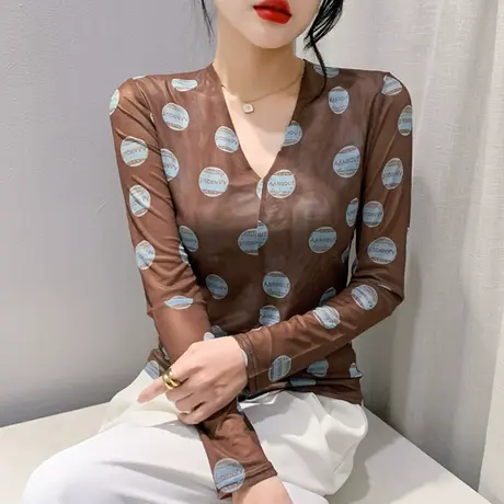 复古印花网纱T恤女长袖秋季2024新款别致设计感上衣修身V领打底衫商品大图