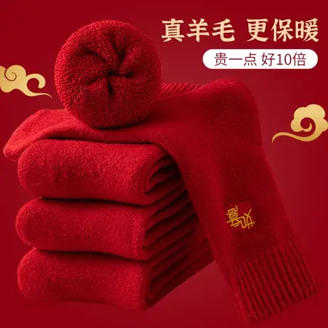 本命年红袜子女冬加绒加厚保暖羊毛袜大红色龙年结婚毛圈袜男中筒图片