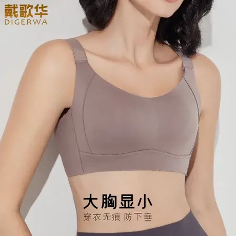 戴歌华光面无痕运动内衣女薄款夏季大胸显小胸收副乳美背防下垂商品大图