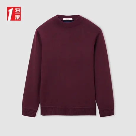 海一家简约半高领套头衫2023冬季新款保暖加绒修身长袖针织衫男商品大图