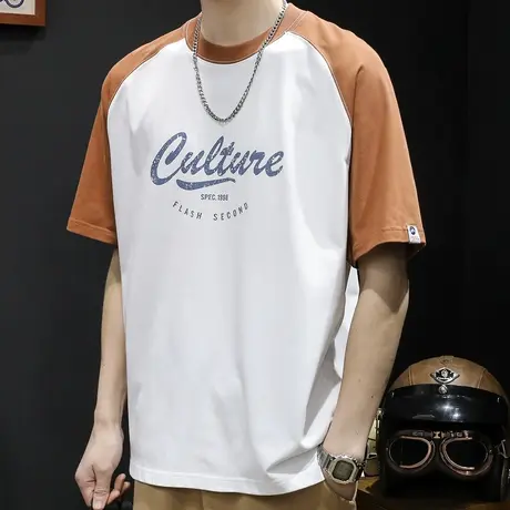 纯棉短袖t恤男宽松潮牌大码男装2024新款男士重磅男款体恤夏季潮商品大图