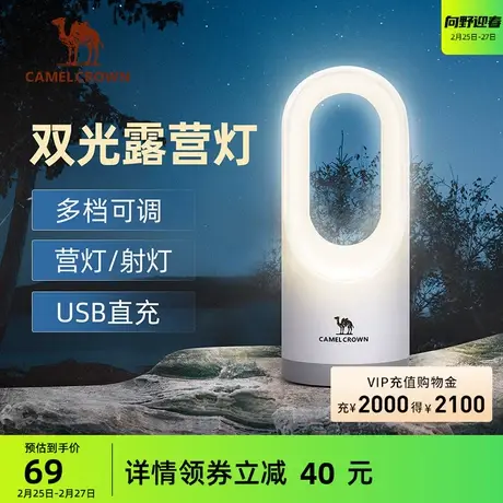 户外精致露营装备LED双光长续航充电照明营地灯野外帐篷射灯商品大图