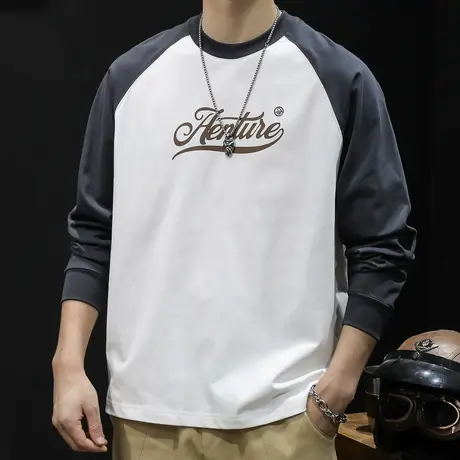 美式长袖t恤男纯棉潮牌宽松大码春季2024新款男士重磅206克春秋款商品大图