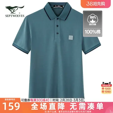 七匹狼短袖t恤男士2023夏季新款宽松商务休闲百搭翻领纯棉POLO衫商品大图