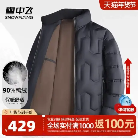 雪中飞【90%鸭绒】立领短款羽绒服男轻便温暖商务休闲外套W商品大图