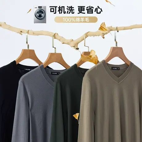 【可机洗100%纯羊毛】利郎纯羊毛衫男士冬V领时尚简约打底毛衣商品大图
