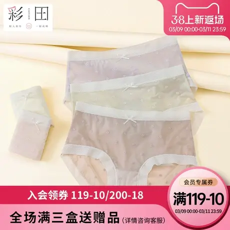 彩田女士夏季新款高透蕾丝轻薄丝滑柔软蝴蝶结茶多酚抗菌裆三角裤商品大图