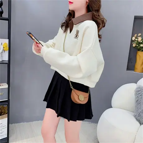 设计感Polo领卫衣女2023新款秋季洋气减龄小个子时尚百搭学生上衣商品大图