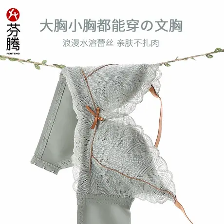 芬腾女士内衣新款无钢圈感大胸显小收副乳防下垂透气薄款文胸罩图片