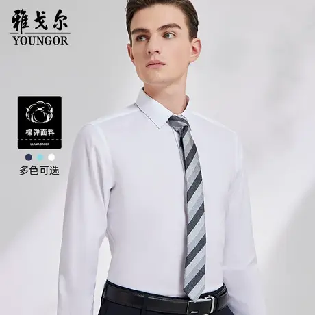 雅戈尔奥莱 男装秋季新品商务休闲免烫长袖衬衫男商品大图