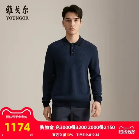 【商场同款】雅戈尔男士毛衫秋冬新款官方商务休闲套头毛衫男商品大图